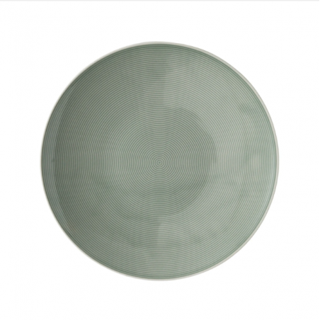 6 assiettes plates / 6...